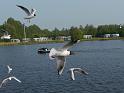 2016.05 Fryslan Bootstour - 128
